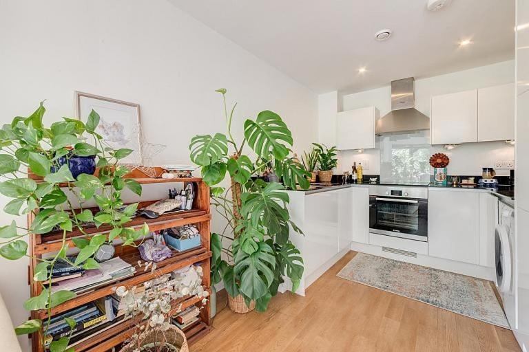 Cozy Bright By Canonbury And Newington N1 Appartamento