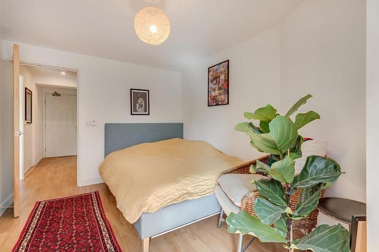 Cozy Bright By Canonbury And Newington N1 Appartamento Londra